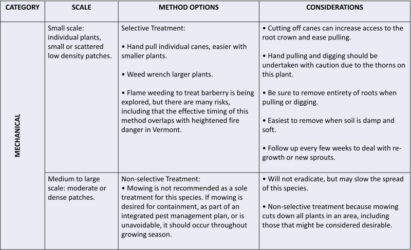 text in a table describing mechanical treatments for Common Barberry