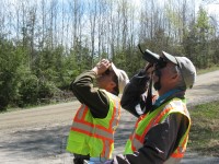 EAB and ALB monitoring