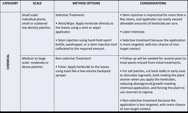 text in a table describing chemical treatments for Japanese knotweed