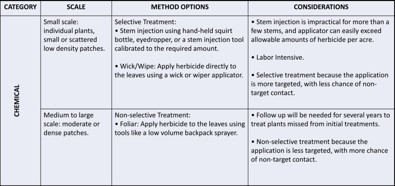 text in a table describing chemical treatments for Phragmites