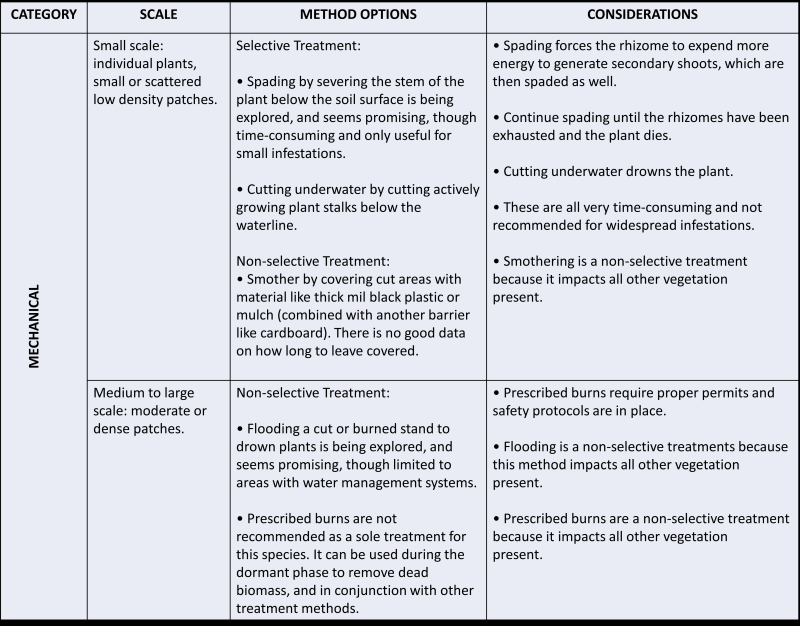 text in a table describing mechanical treatments for Phragmites