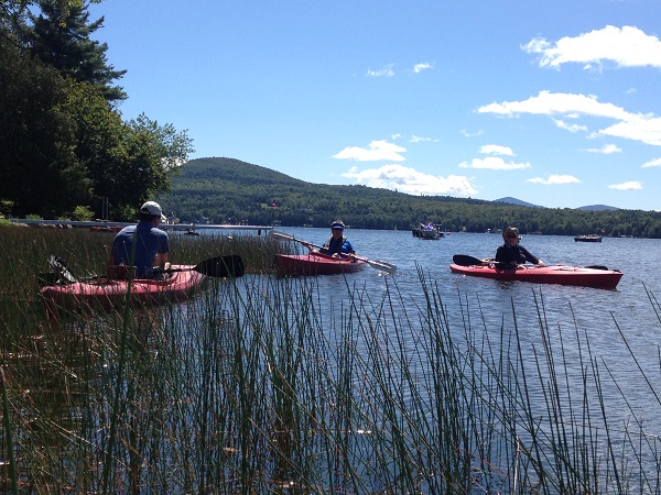 Volunteers search for invasive aquatic plants