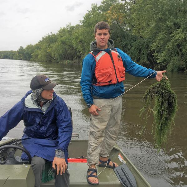 VTDEC Technician holds a sampling rake full of Hydrilla