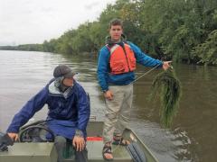 VTDEC Technician holds a sampling rake full of Hydrilla